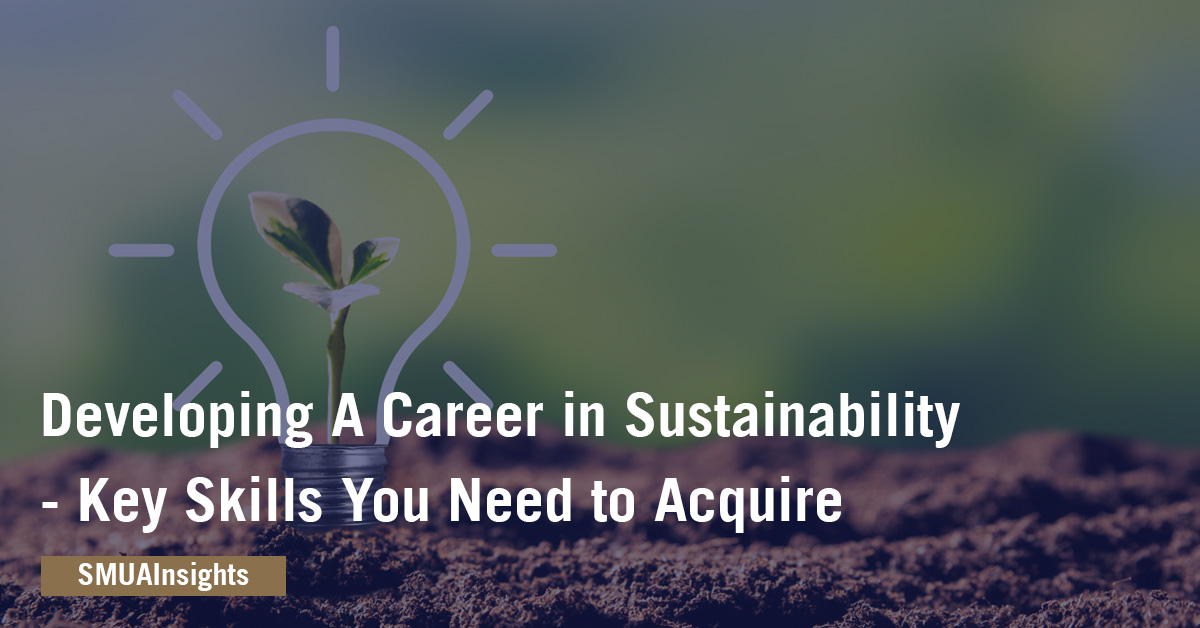 Developing A Career In Sustainability - Key Skills You Need To Acquire ...